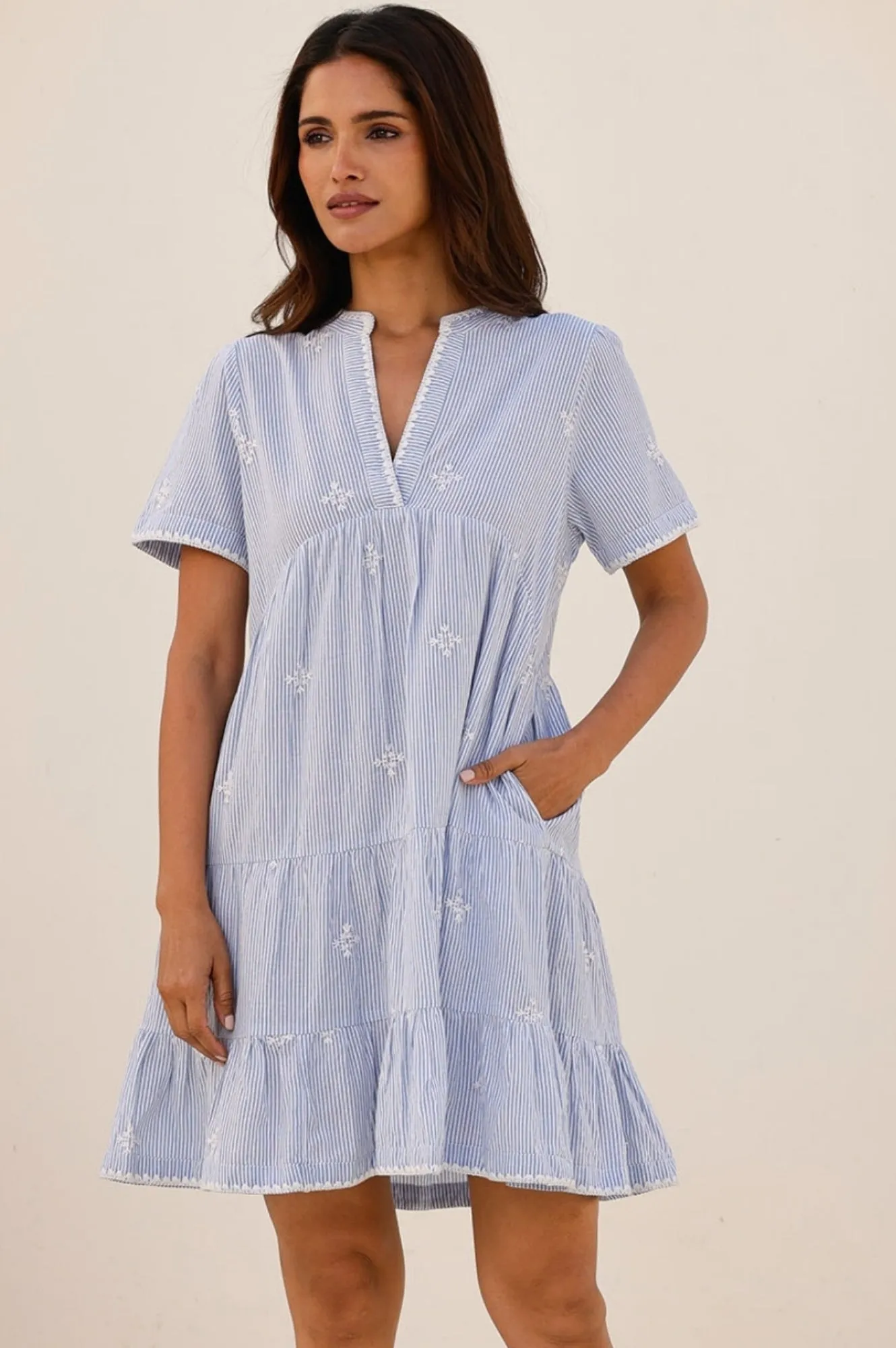 India Embroidered Organic Cotton Dress | Stripe Blue/White