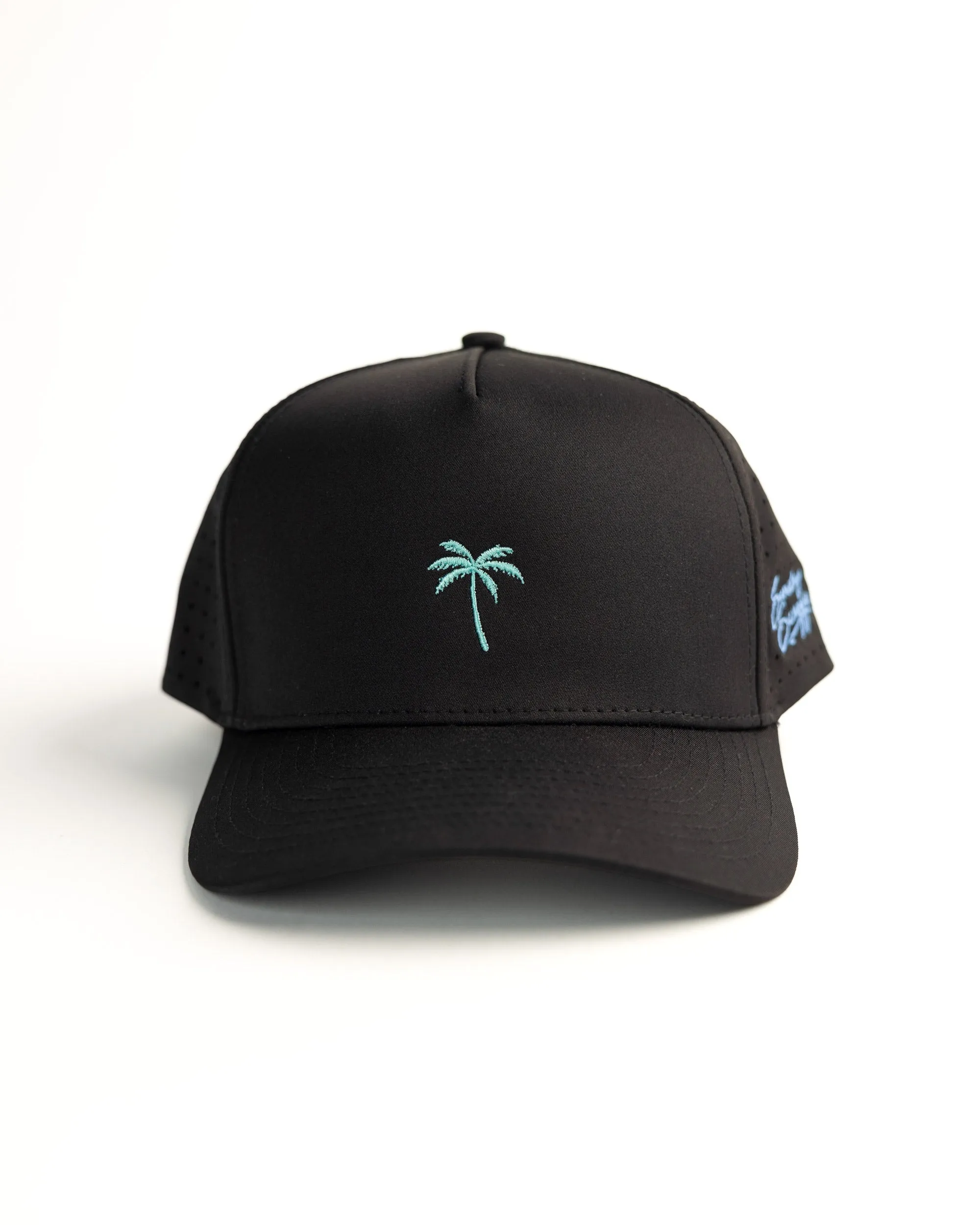 Palm Snapback - Black