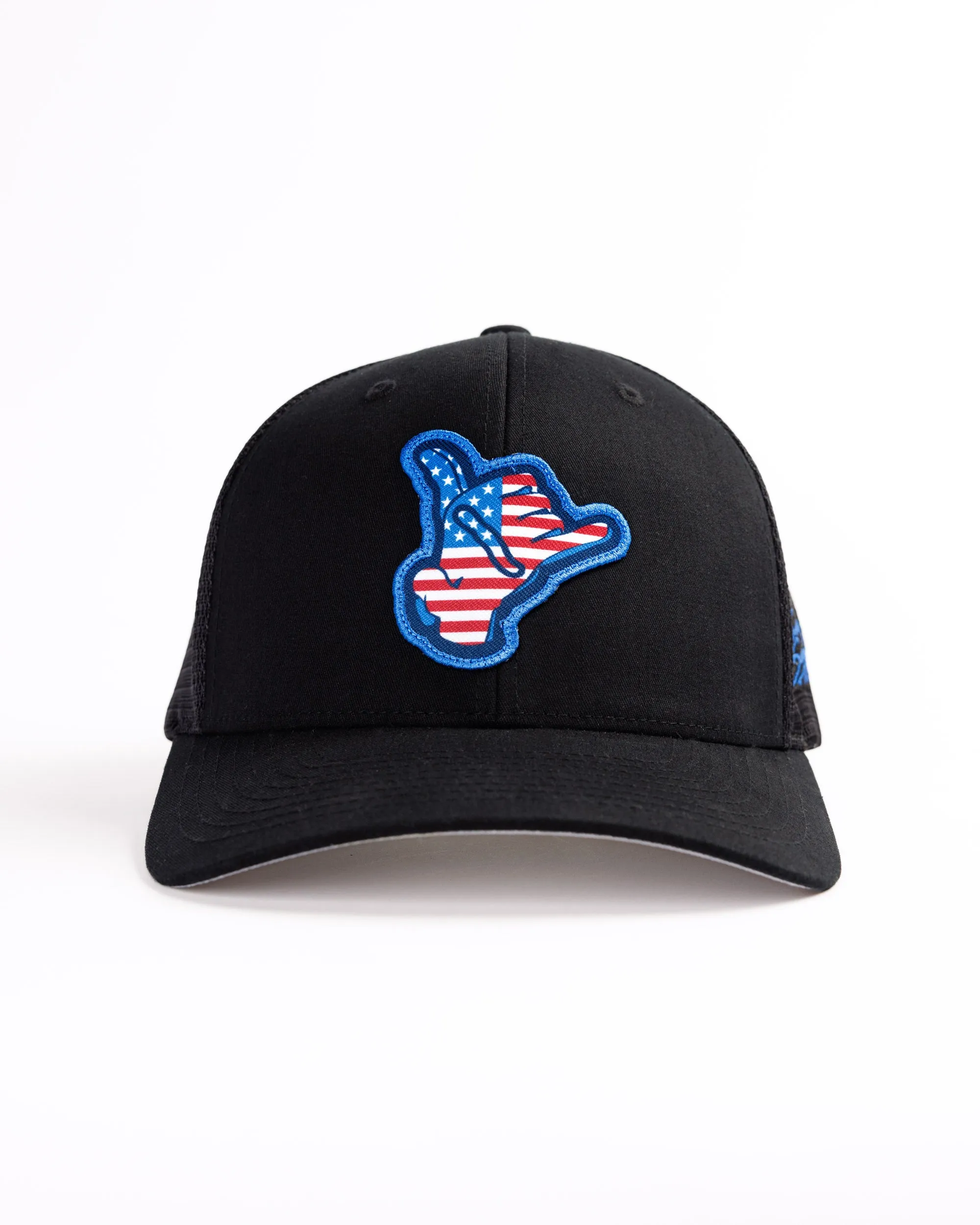 Stars and Stripes Flexfit Snapback - Black